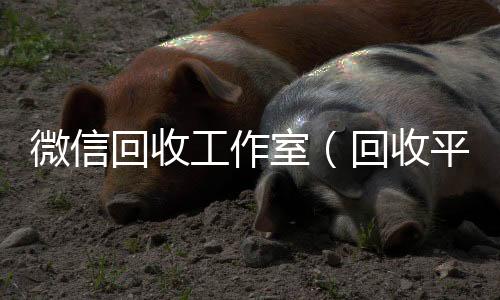 微信回收工24小时高价回收vx作室（回收平台）